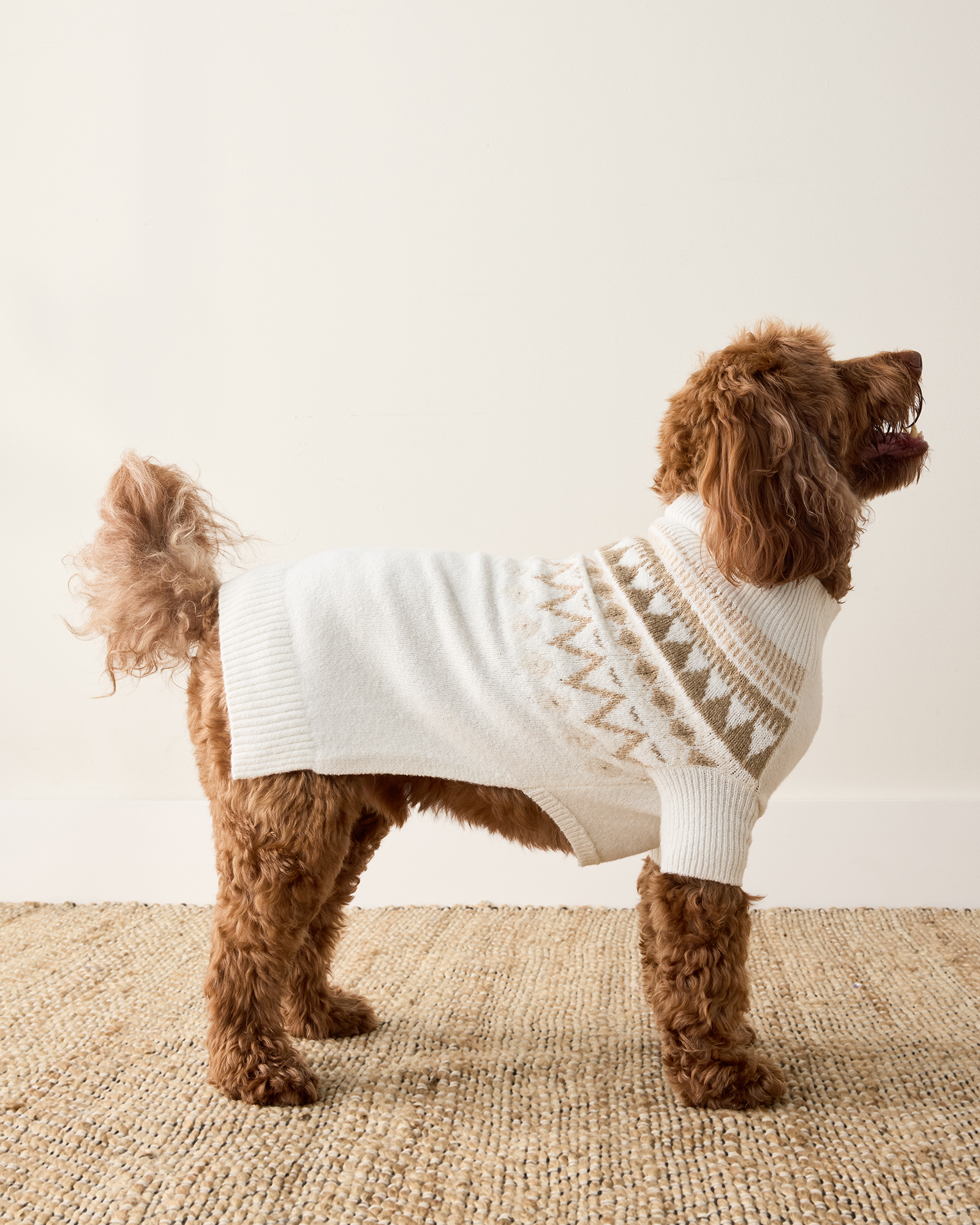 捨七　summer holiday PET Organic Cotton Blend Fairisle Dog Sweater | Haven Well Within