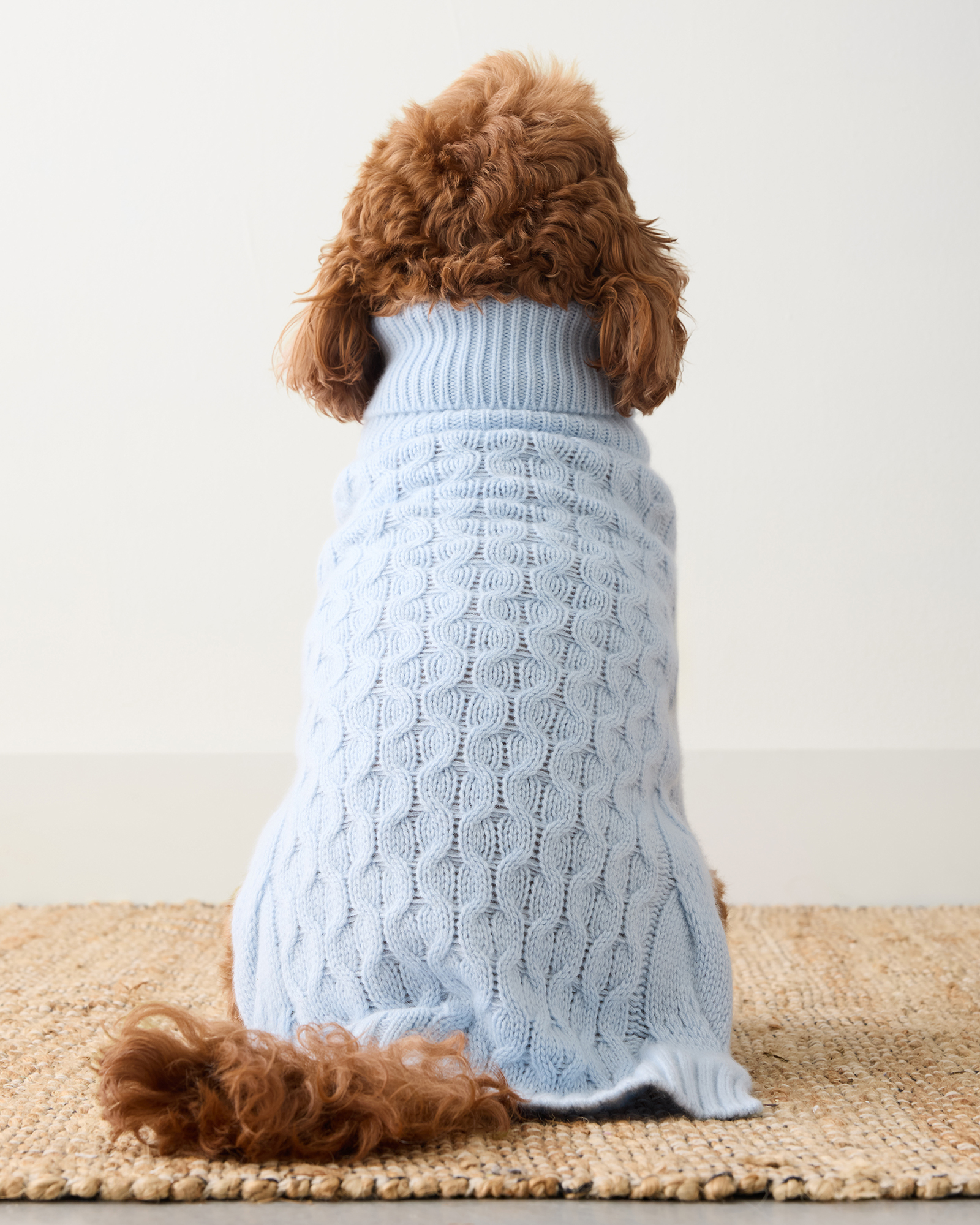 Cashmere Cable Knit Dog Sweater | Haven Well Within