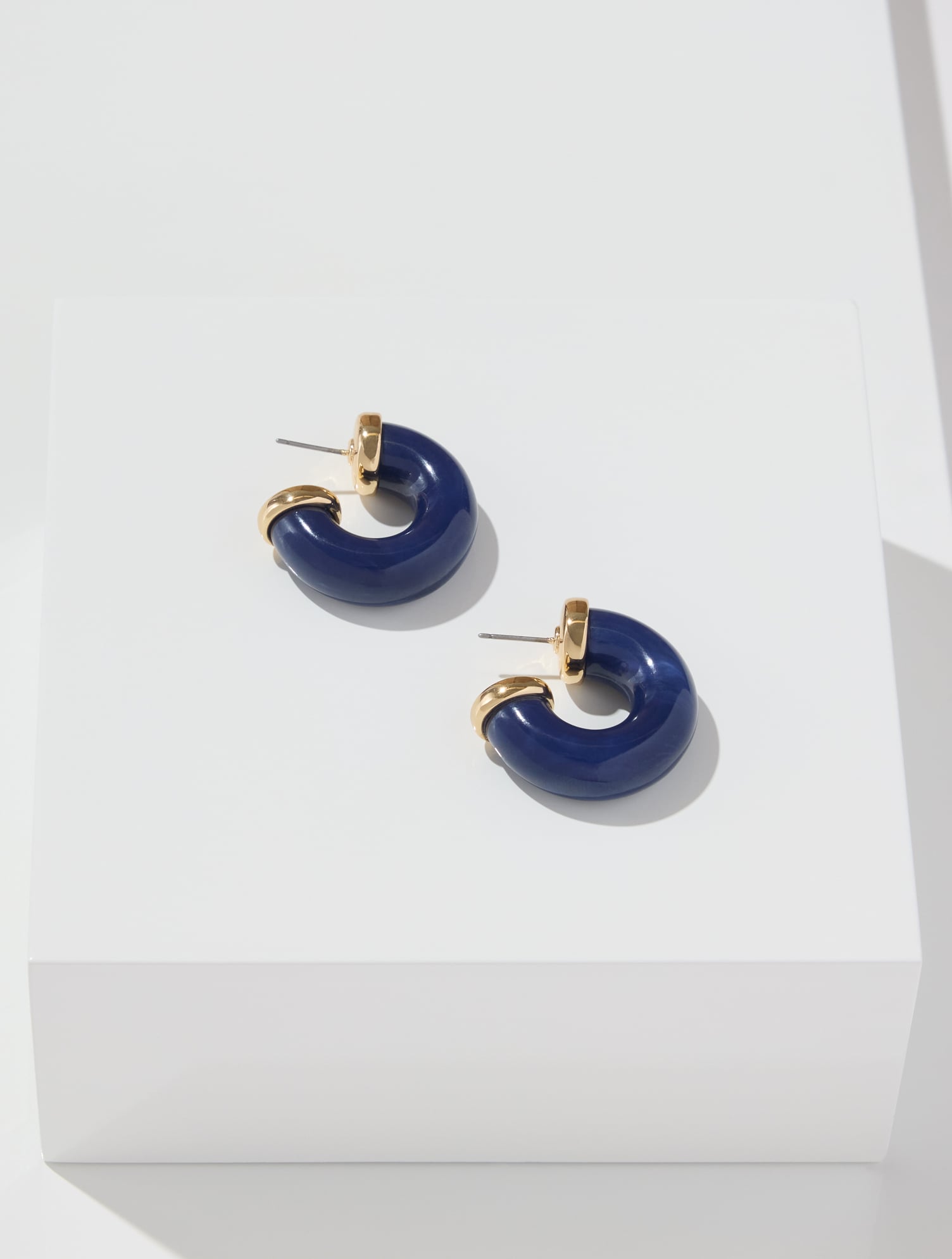 Resin Hoop Earrings