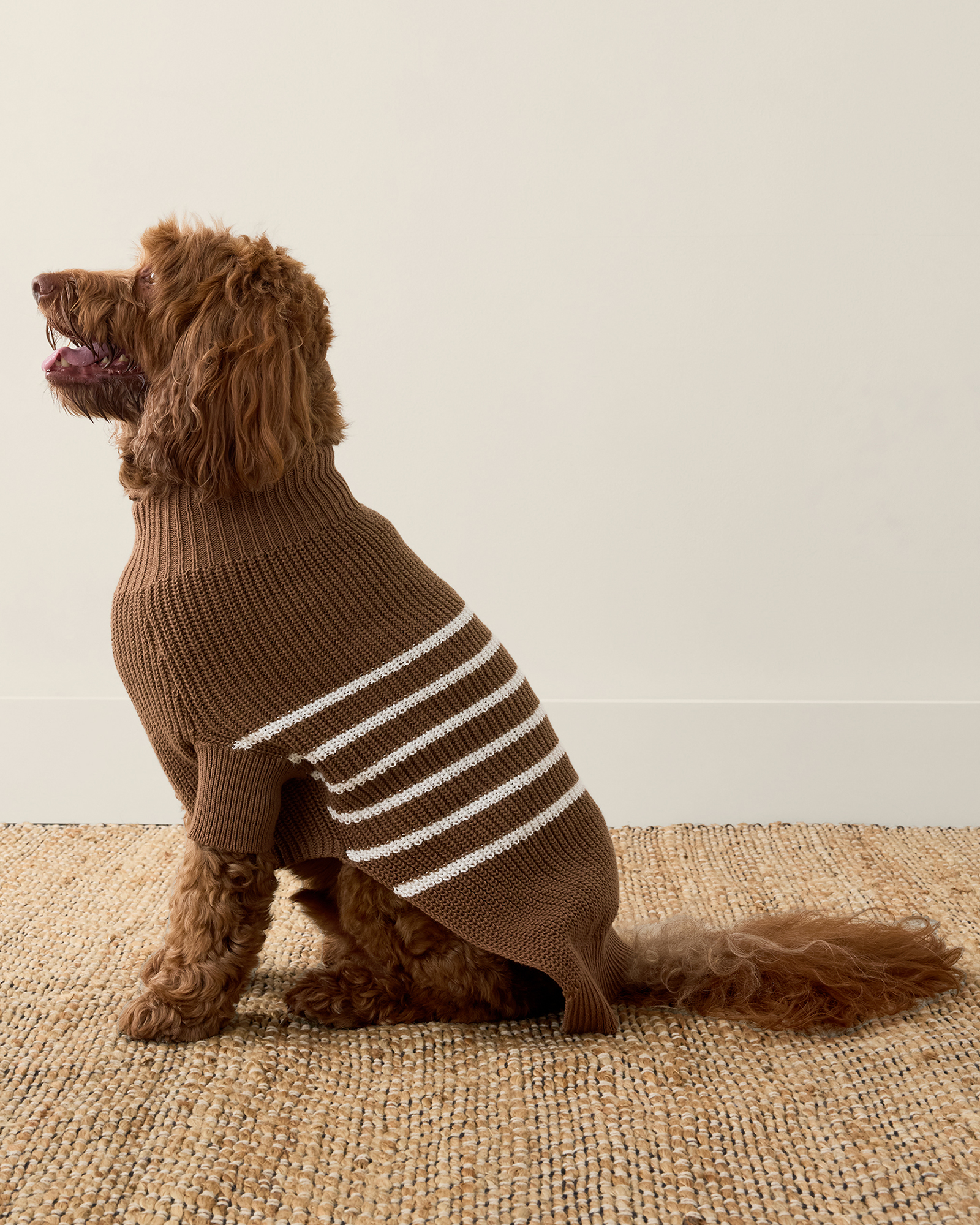 Organic Cotton Striped Dog Sweater