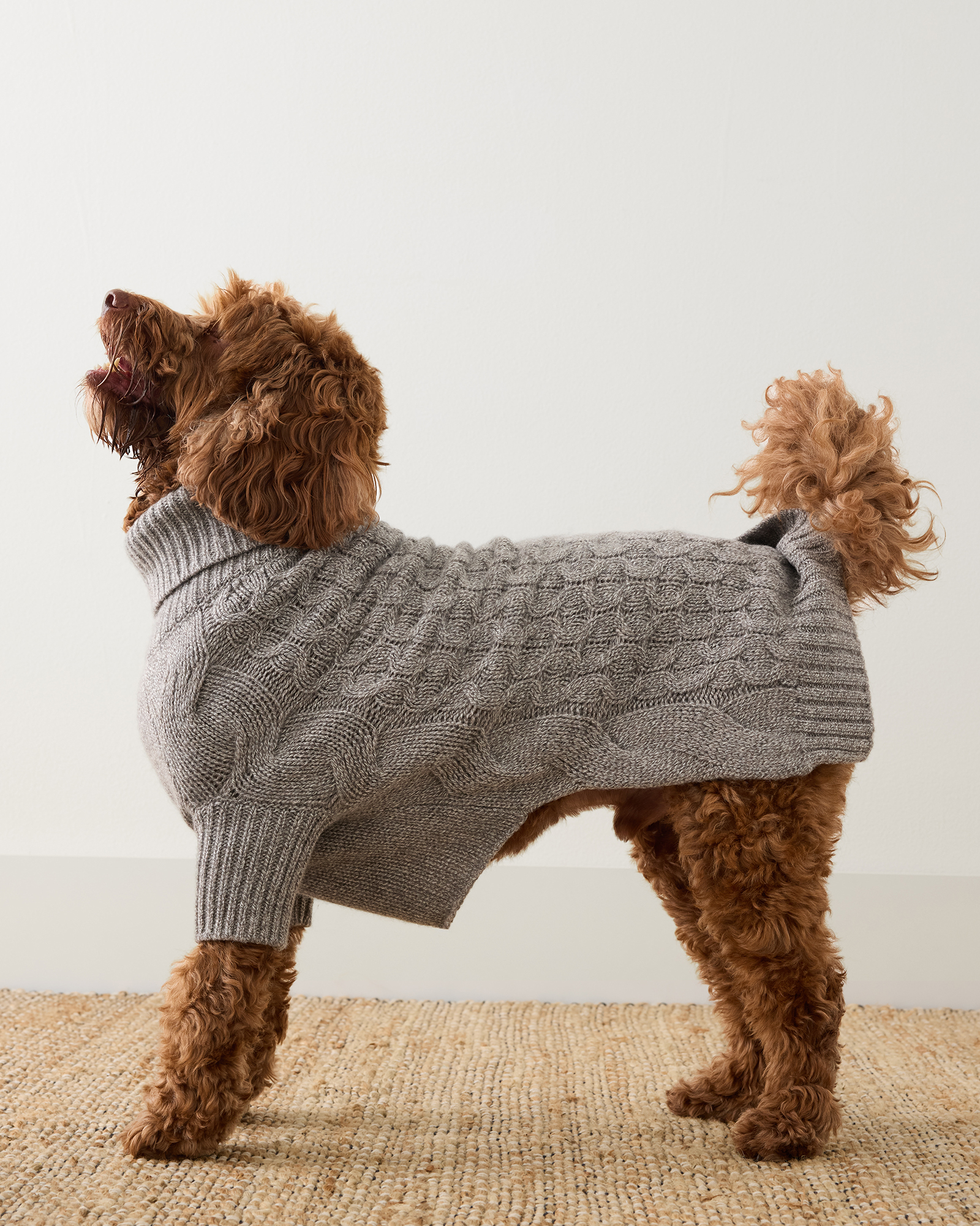 Chilly Dog Tural Cable Dog Sweater Medium Length GF Pet Chalet Dog - Main Image